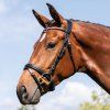 Acavallo Cupido bridle - calf leather