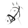 Equestro Crank bridle with glitter