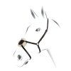 Equestro Mexican noseband