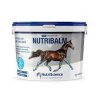 Cooling Limb Gel for Horses NutriBalm Gel 2 kg