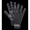 Waldhausen Grooming & Cleaning Glove