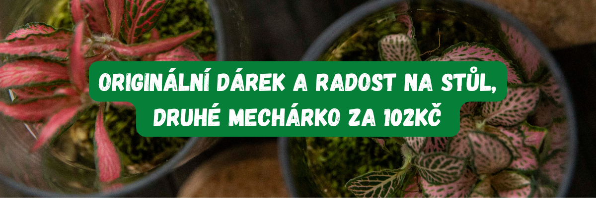 AKCIA mechárko 102KČ