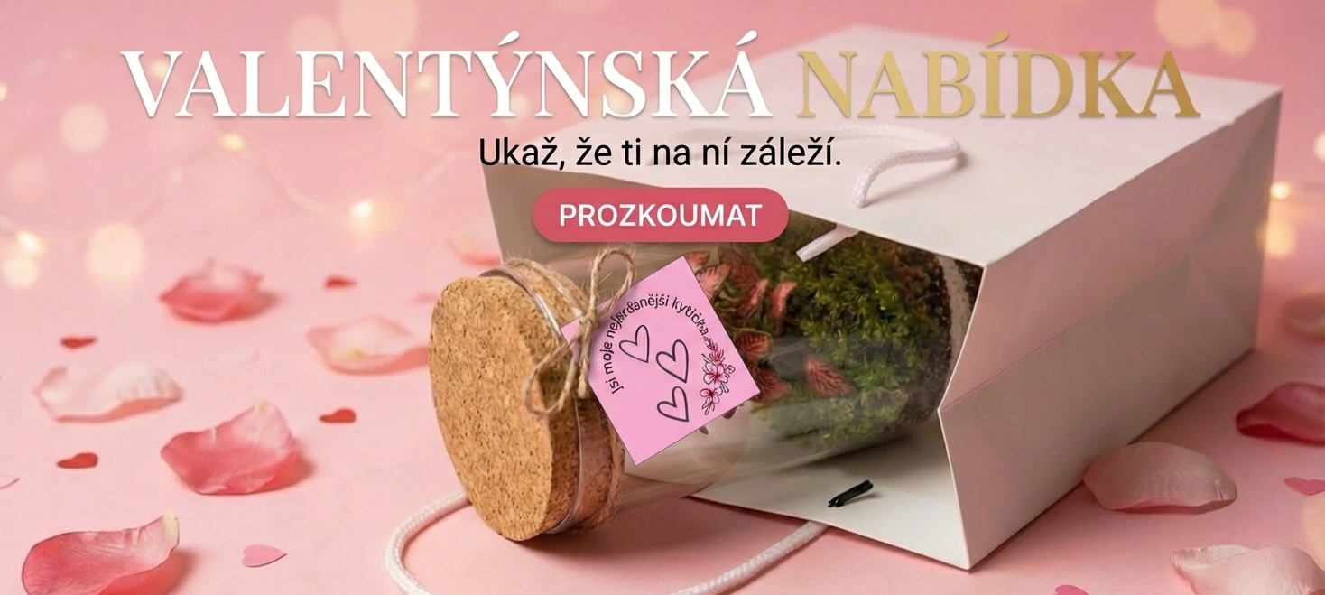 Valentýnský nabídka mehcáreka