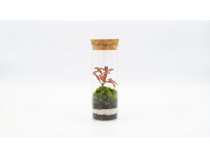 Please create a 202601261633 (2)