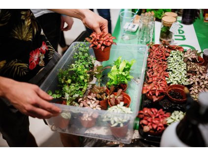 maker fair 2024 2048px JanHromadko 1367