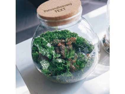 Gemini Generated Image m45sbqm45sbqm45s