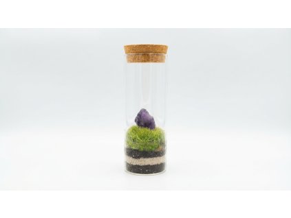 Please create a 202601261633 (5)