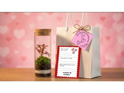 Valentýnský set Mechárko krystal střední