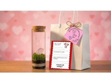 Replace the terrarium 202601261850