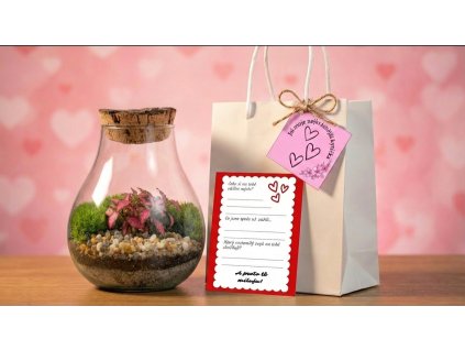 Replace the terrarium 202601261850 (2)