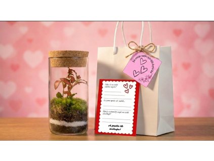 Replace the terrarium 202601261851