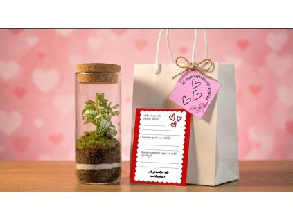 Replace the terrarium 202601261851 (1)