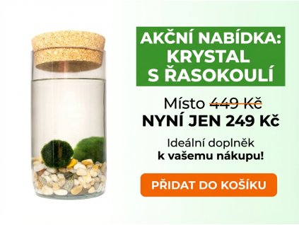 Generated Image February 04, 2026 12 32PM