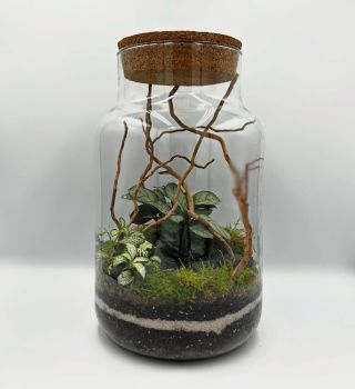 #greenglazz #ekosystem #mecharium #mech #terarium