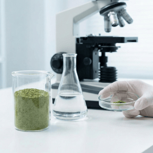 Warum Laborprüfungen für Kratom-Sammler entscheidend sind: Reinheit an erster Stelle