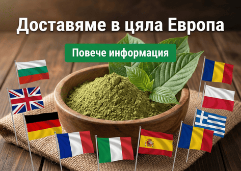 Доставяме в цяла Европа