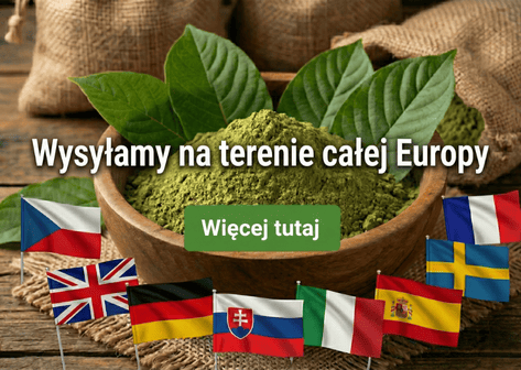 Wysyłamy na terenie całej Europy