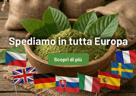 Spediamo in tutta Europa