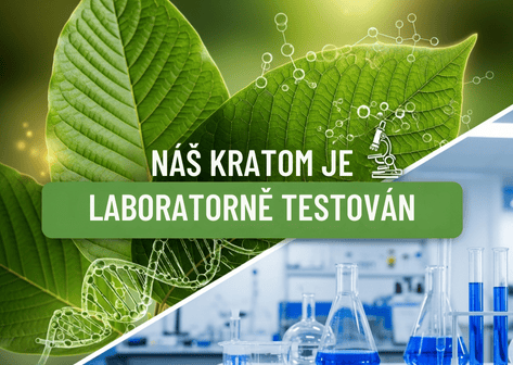 Kratom laboratorně testován