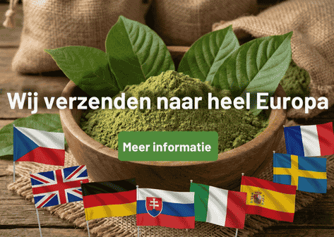 Wij verzenden naar heel Europa