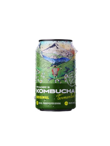 green heads prager pragers kombucha cider remeslny cesky alko nealko (56)