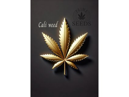 prime seeds cali