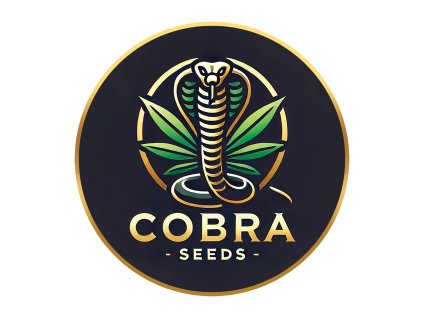 cobra seeds malé