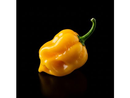 chilli – Habanero Yellow