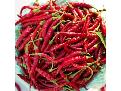 chilli – Ring of Fire.png