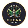cobra seeds malé