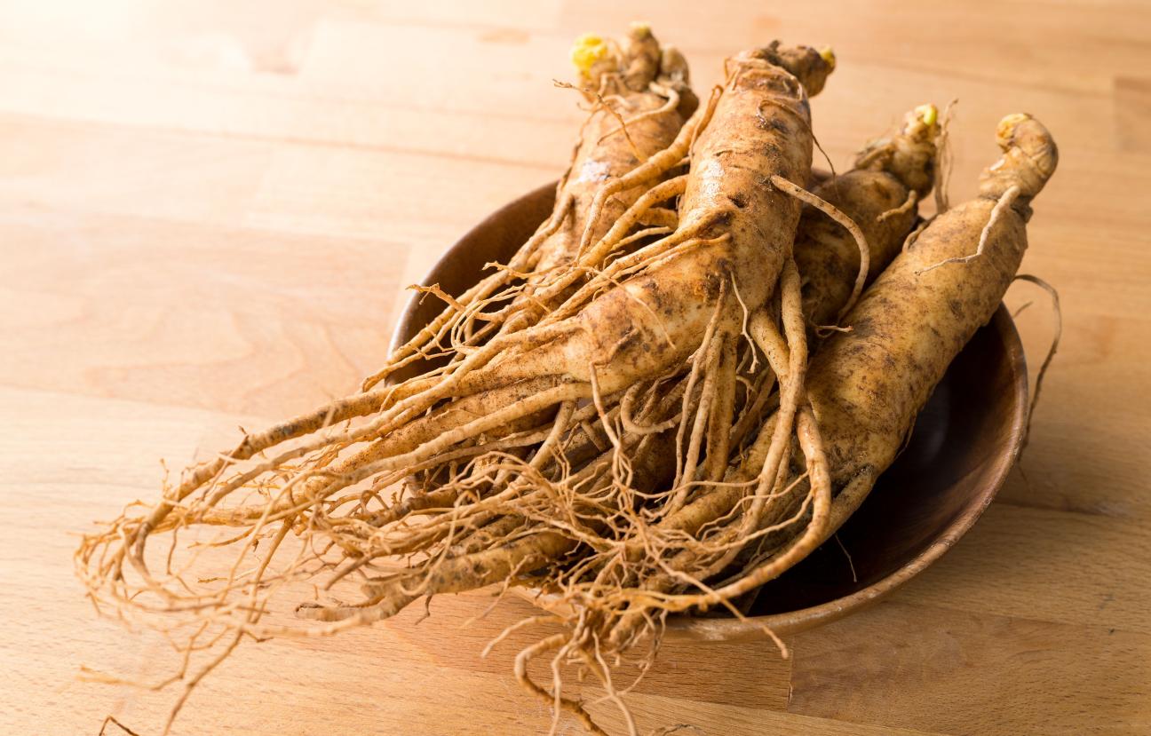 Ženšen pravý (Panax ginseng)
