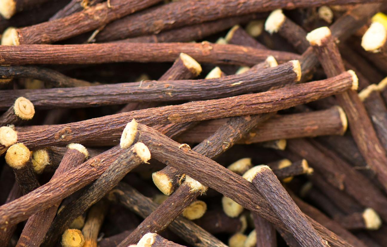 Lékořice lysá (Glycyrrhiza glabra)