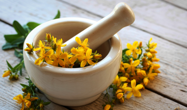 Třezalka tečkovaná (Hypericum perforatum)