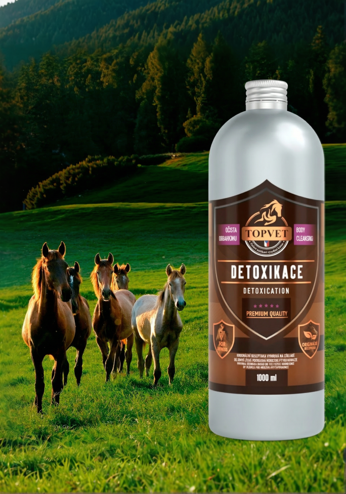 Koně Detoxikace