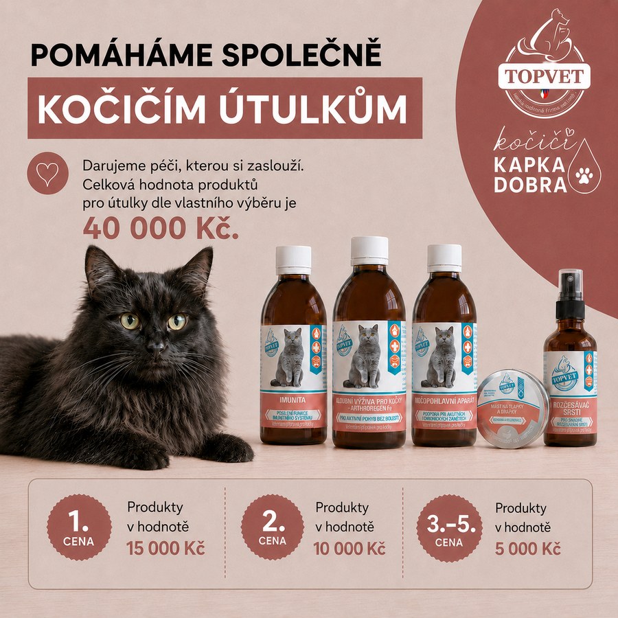 Pomáháme společně kočičím útulkům – úvodní vizuál