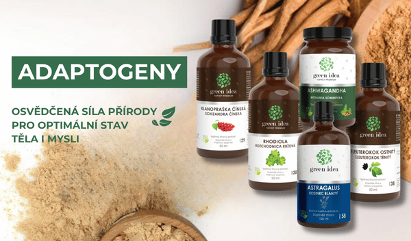 Adaptogeny_detox
