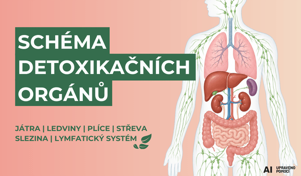 Organy_detox