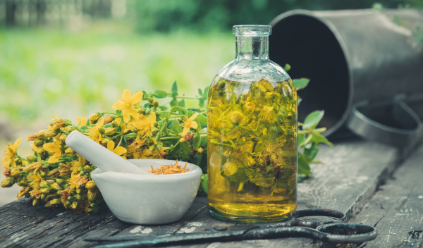 Trezalka_teckovana04