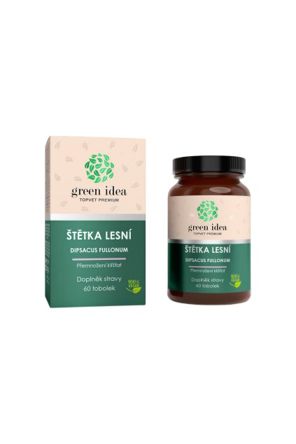 Štětka lesní - tobolky