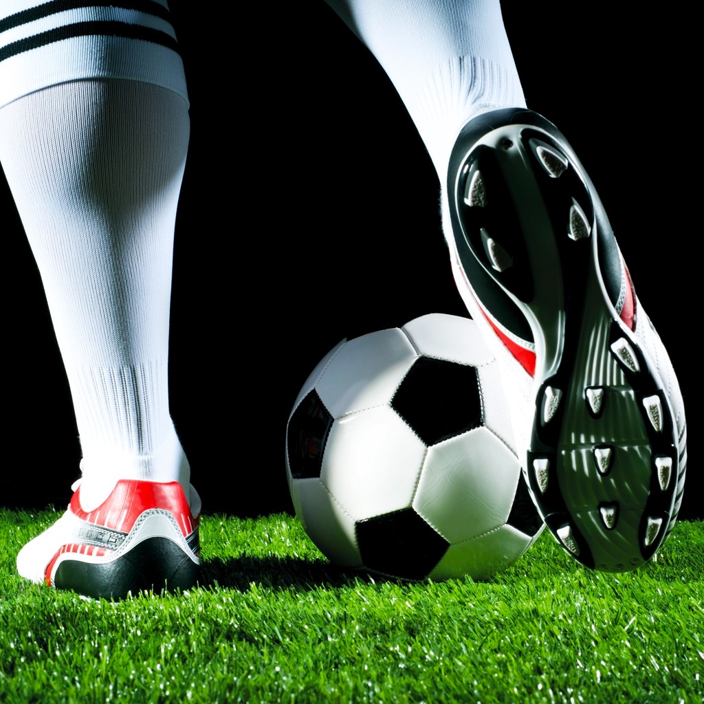 Regenerace sportovních trávníků