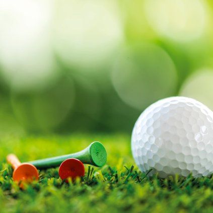 travni smes greenkeeper tee g01