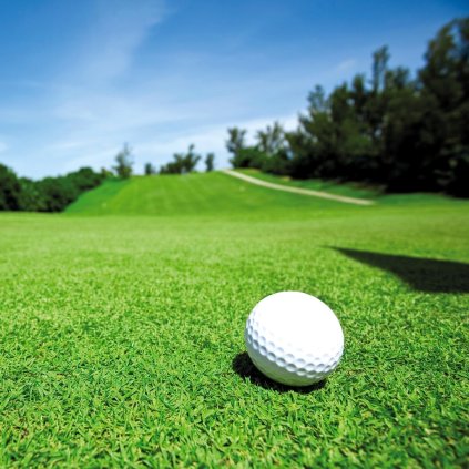 travni smes fairway