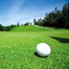 profi travni hnojiva ukazka golf