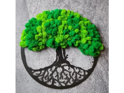 Strom dub v kruhu (velký 60 cm)