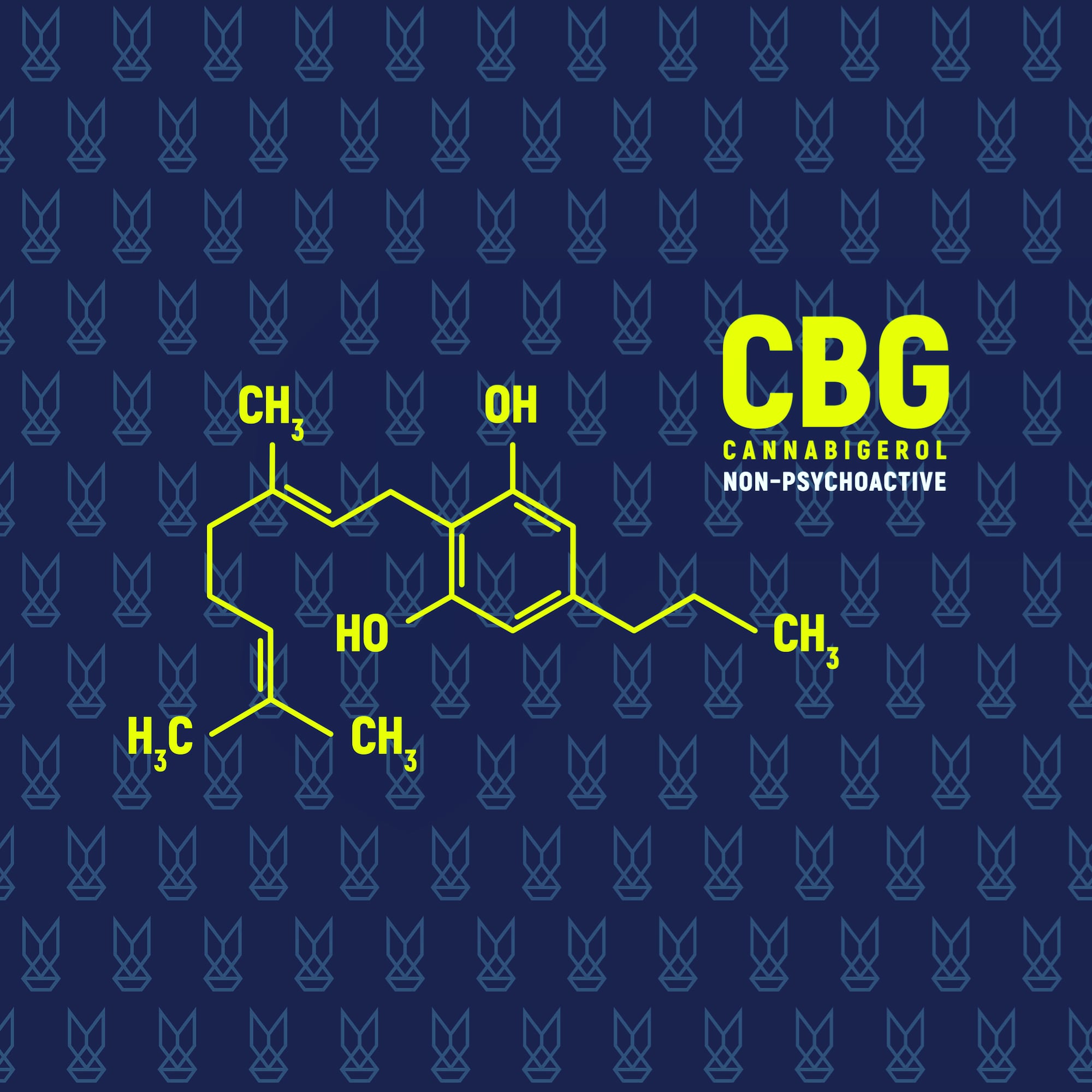 Co je CBG (Cannabigerol)?