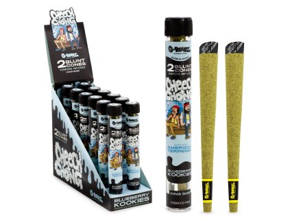 CC1532B DIS4qALqS19eGGkw