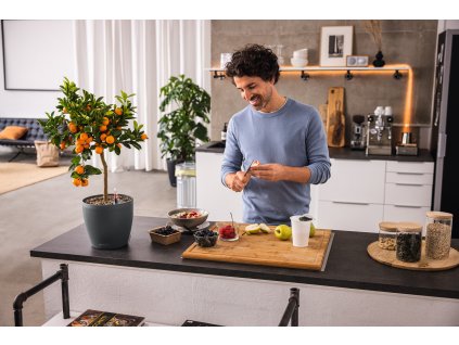 Classico Color ECO (Barva Tmavě šedá, Velikost 60)