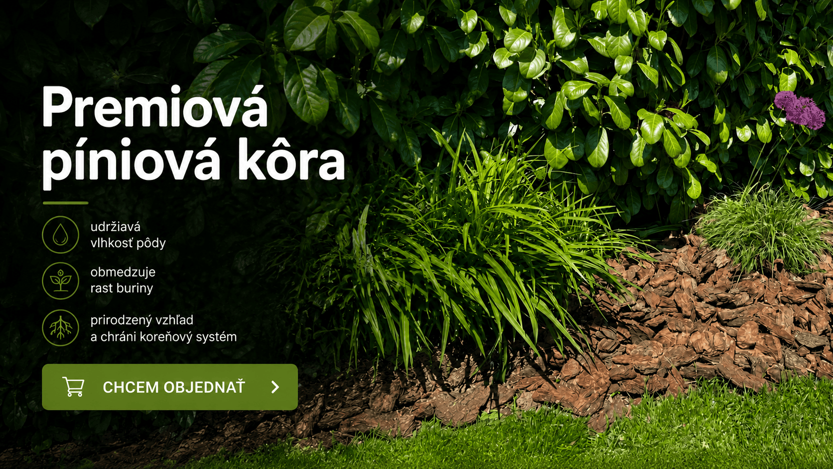 Píniová kôra