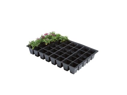 Garland sadbovacie plato 40, 35.5x23x5 cm, 5 ks