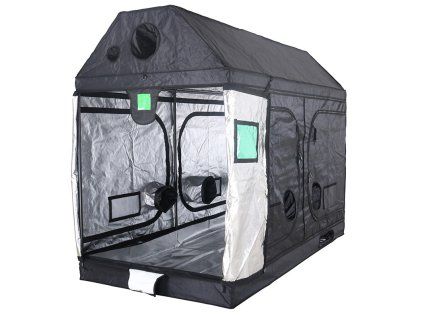 d53779e1
